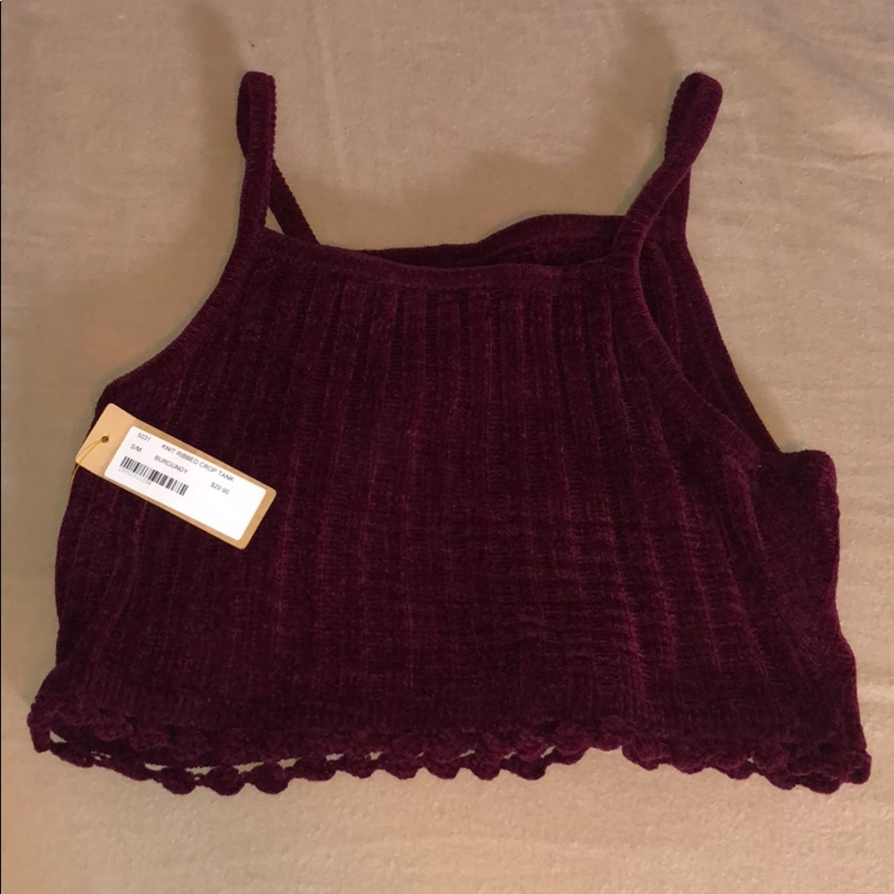 Kaitlyn Burgundy Crop Top